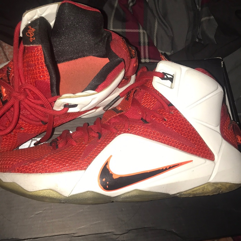 Lebron 12 heart of the lions